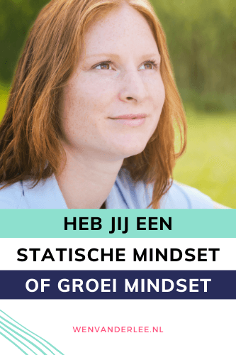 Blog Wen van der Lee Heb ik een statische mindset of een groei mindset